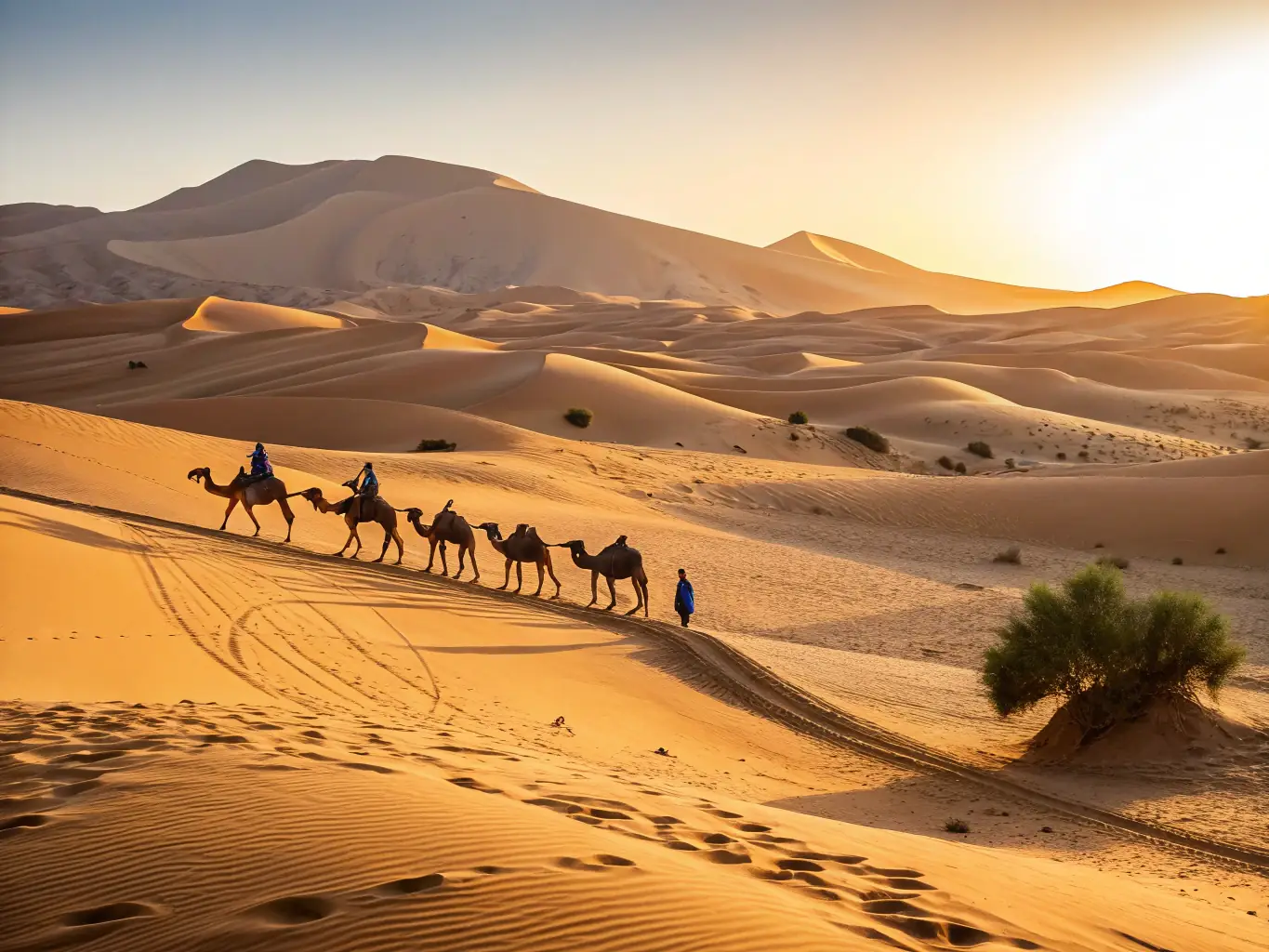 An evocative image of the Sahara Desert in Morocco, with a caravan of camels silhouetted against the setting sun, highlighting the mystique of North Africa.